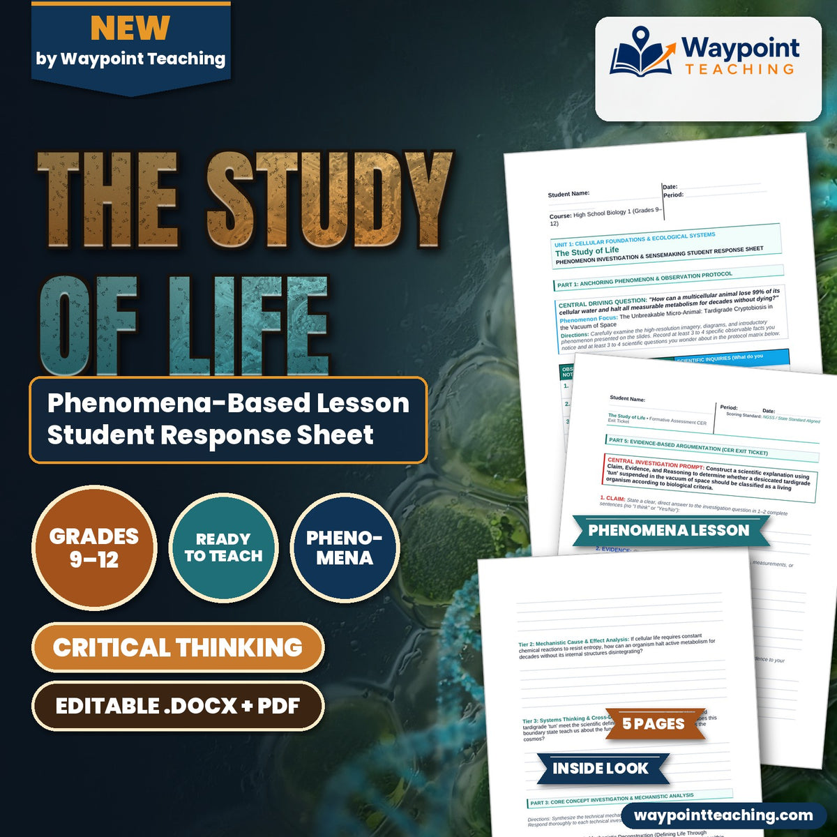 The Study of Life Phenomena-Based Lesson: Tardigrade Cryptobiosis Student Response Sheet cover