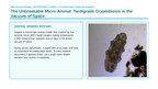 The Study of Life Scaffolded Phenomena-Based Lesson: Tardigrade Cryptobiosis Presentation sample page