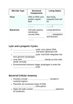 Viruses & Bacteria Guided Notes sample page
