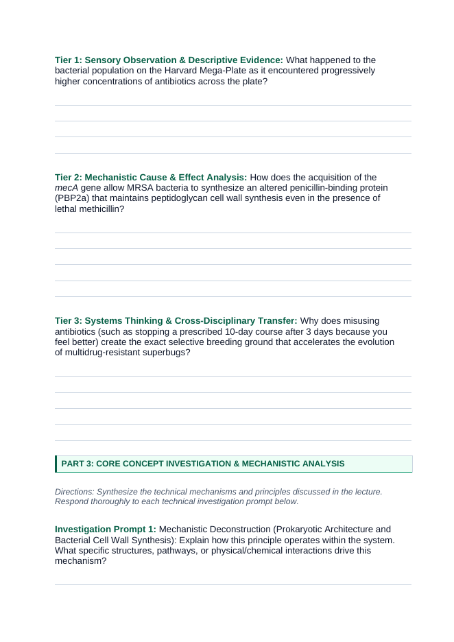 Viruses & Bacteria Phenomena-Based Lesson: MRSA Antibiotic Resistance Student Response Sheet sample page