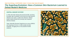 Viruses & Bacteria Scaffolded Phenomena-Based Lesson: MRSA Antibiotic Resistance Presentation sample page