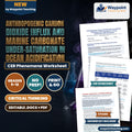 Anthropogenic Carbon Dioxide Influx and Marine Carbonate Under-Saturation in Ocean Acidification CER Phenomena Worksheet cover