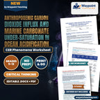 Anthropogenic Carbon Dioxide Influx and Marine Carbonate Under-Saturation in Ocean Acidification CER Phenomena Worksheet cover