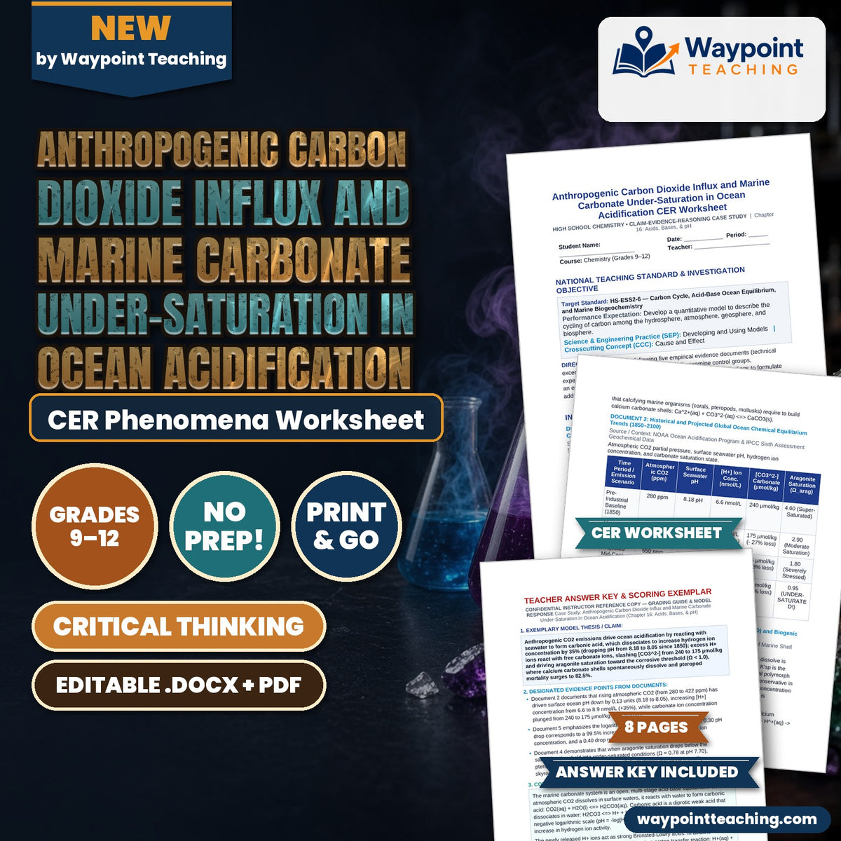 Anthropogenic Carbon Dioxide Influx and Marine Carbonate Under-Saturation in Ocean Acidification CER Phenomena Worksheet cover