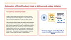 Balancing Chemical Equations Phenomena-Based Lesson: Detonation of Solid Sodium Azide in Millisecond Airbag Inflation Presentation sample page