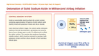 Balancing Chemical Equations Scaffolded Phenomena-Based Lesson: Detonation of Solid Sodium Azide in Millisecond Airbag Inflation Presentation sample page