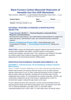 Blast Furnace Carbon Monoxide Reduction of Hematite Iron Ore CER Phenomena Worksheet sample page
