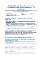 Capillary Rise, Meniscus Curvature, and Surfactant Surface Tension Reduction CER Phenomena Worksheet sample page