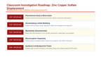 Classifying Chemical Reactions Phenomena-Based Lesson: Vigorous Single Replacement of Copper from Blue Sulfate by Zinc Presentation sample page