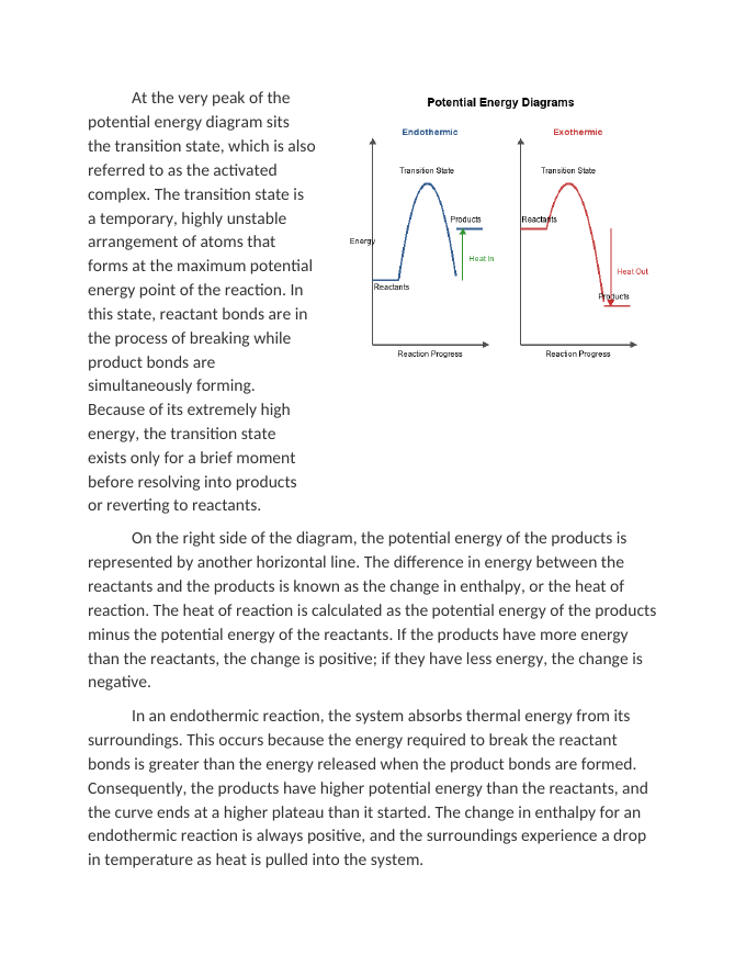 Endothermic vs Exothermic Potential Energy Diagrams Reading Worksheet sample page