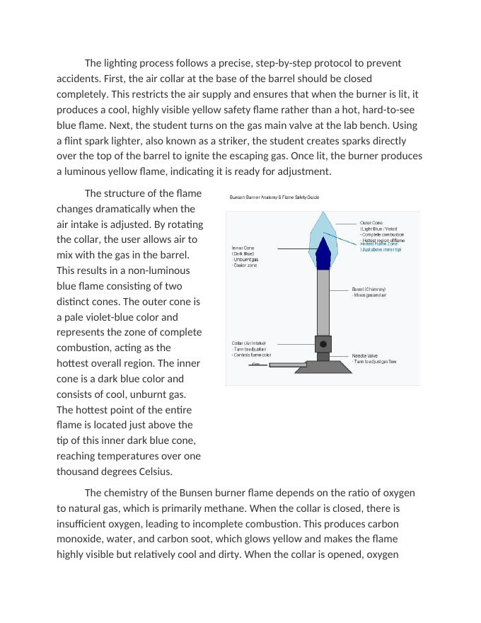 Evaluating Criteria for Bunsen Burner Safety Reading Worksheet sample page