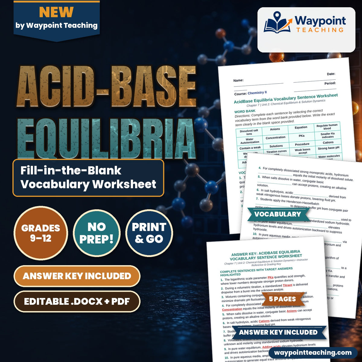 Acid-Base Equilibria Fill-in-the-Blank Vocabulary Worksheet cover