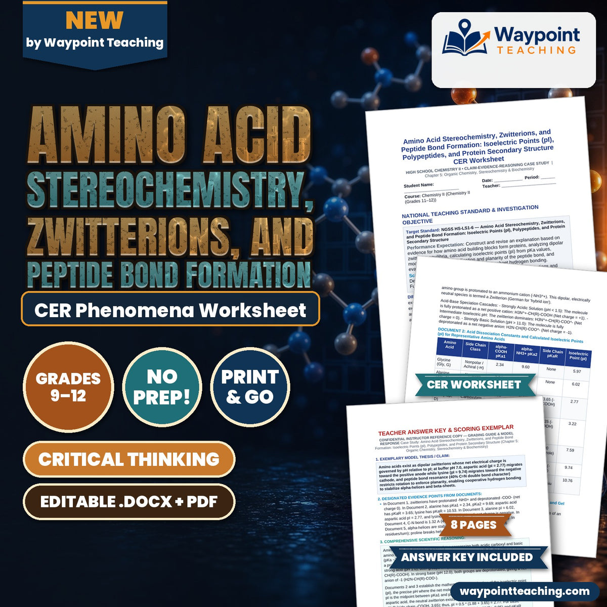 Amino Acid Stereochemistry, Zwitterions, and Peptide Bond Formation: Isoelectric Points (pI), Polypeptides, and Protein Secondary Structure CER Phenomena Worksheet cover