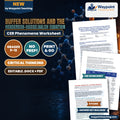 Buffer Solutions and the Henderson-Hasselbalch Equation: Buffer Capacity, Conjugate Ratios, and Human Blood Bicarbonate Equilibrium CER Phenomena Worksheet cover