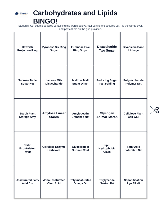 Carbohydrates & Lipids BINGO Review Game sample page