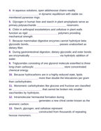 Carbohydrates & Lipids Fill-in-the-Blank Vocabulary Worksheet sample page