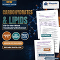 Carbohydrates & Lipids Fill-in-the-Blank Vocabulary Worksheet cover