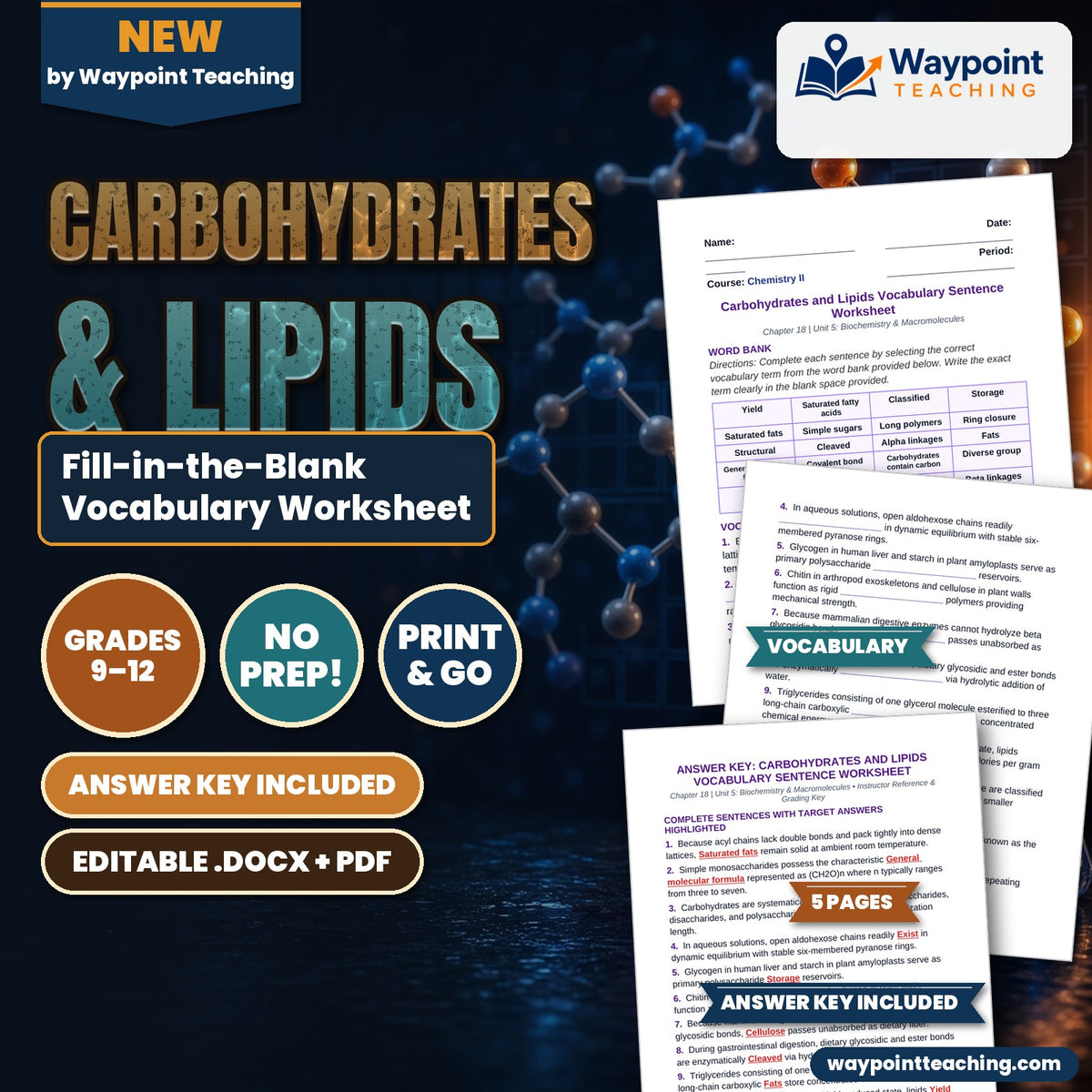 Carbohydrates & Lipids Fill-in-the-Blank Vocabulary Worksheet cover