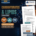 Carbohydrates & Lipids Lesson Quiz cover