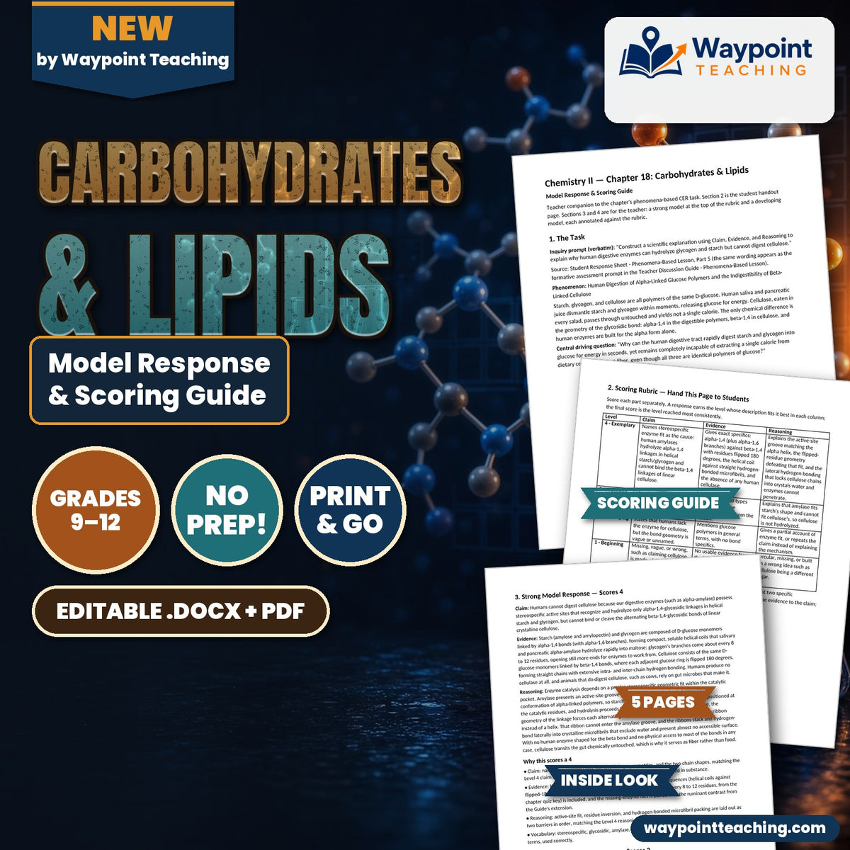 Carbohydrates & Lipids Model Response & Scoring Guide cover