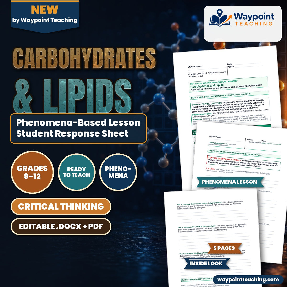 Carbohydrates & Lipids Phenomena-Based Lesson: The Structural Solubility Paradox Between Plant Cellulose and Animal Glycogen Polymers Student Response Sheet cover