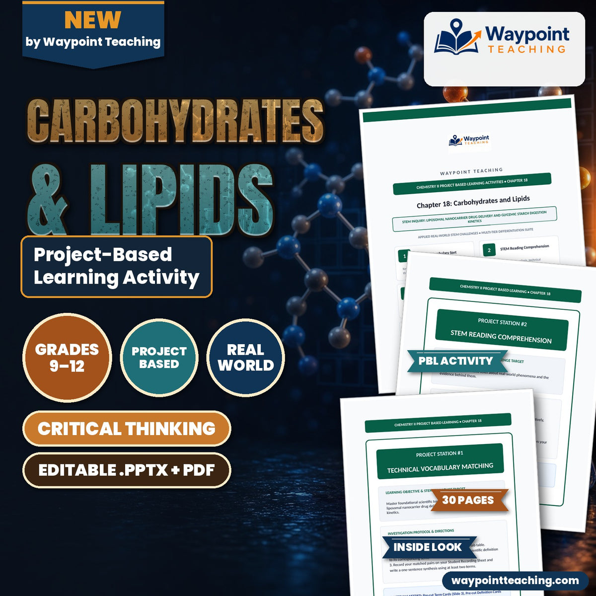Carbohydrates & Lipids Project-Based Learning Activity cover
