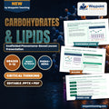 Carbohydrates & Lipids Scaffolded Phenomena-Based Lesson: The Structural Solubility Paradox Between Plant Cellulose and Animal Glycogen Polymers Presentation cover