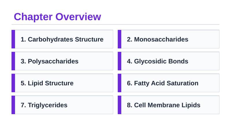 Carbohydrates & Lipids Slide Show Presentation sample page