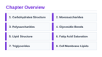 Carbohydrates & Lipids Slide Show Presentation sample page