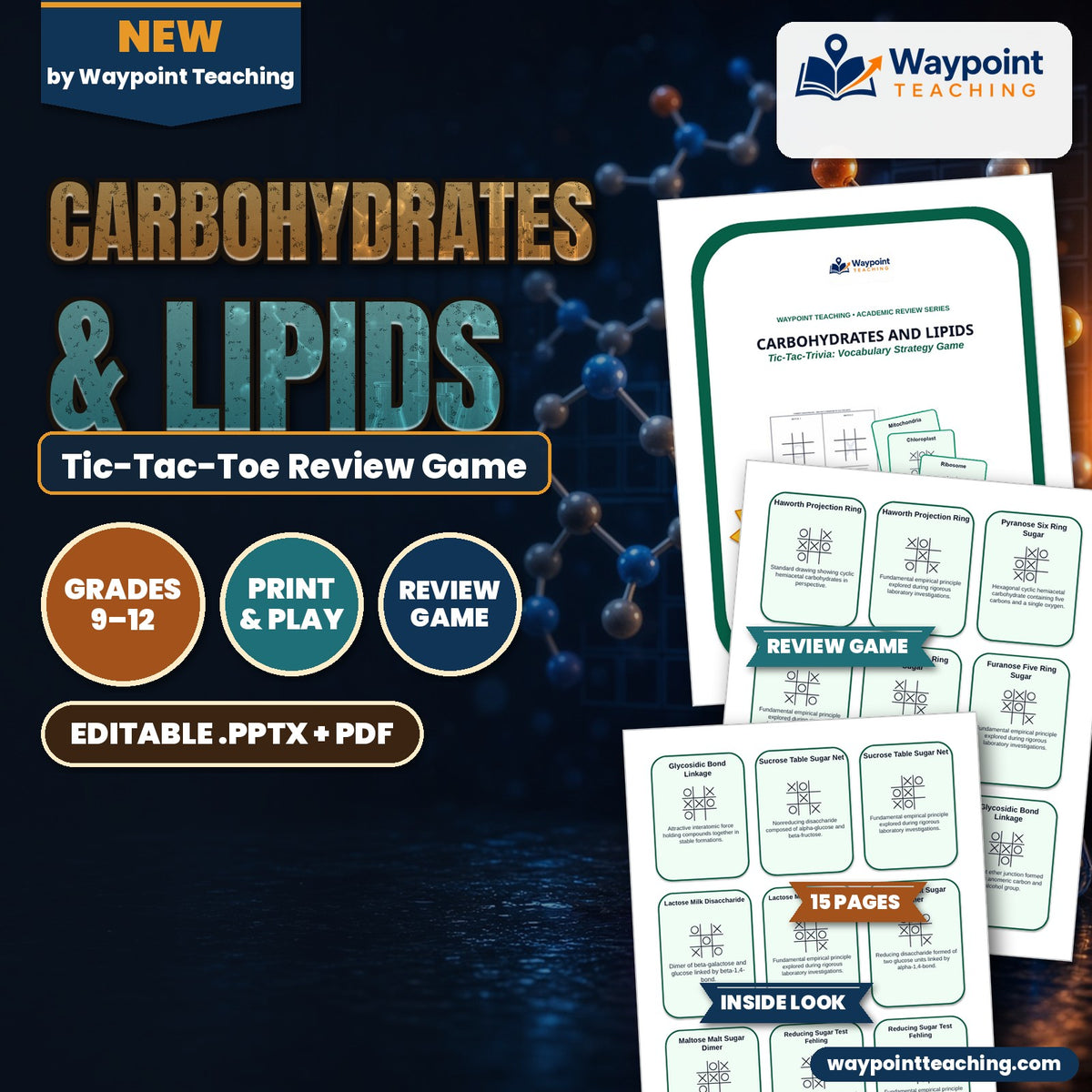 Carbohydrates & Lipids Tic-Tac-Toe Review Game cover