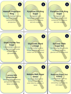 Carbohydrates & Lipids Trivia Board Game sample page