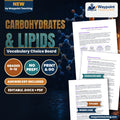 Carbohydrates & Lipids Vocabulary Choice Board cover