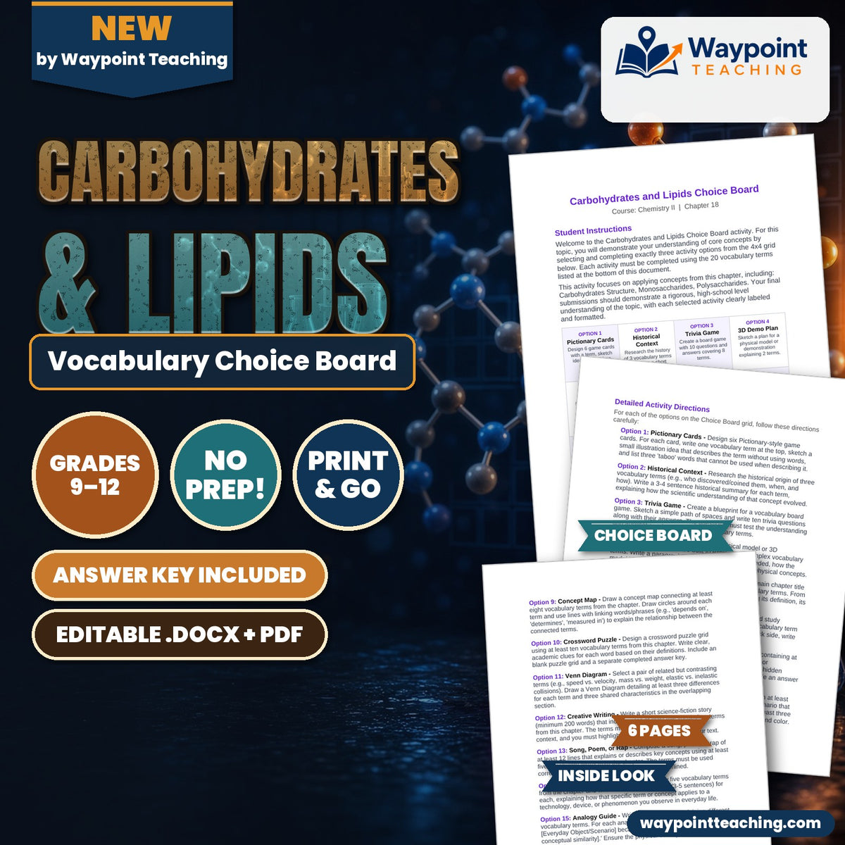 Carbohydrates & Lipids Vocabulary Choice Board cover
