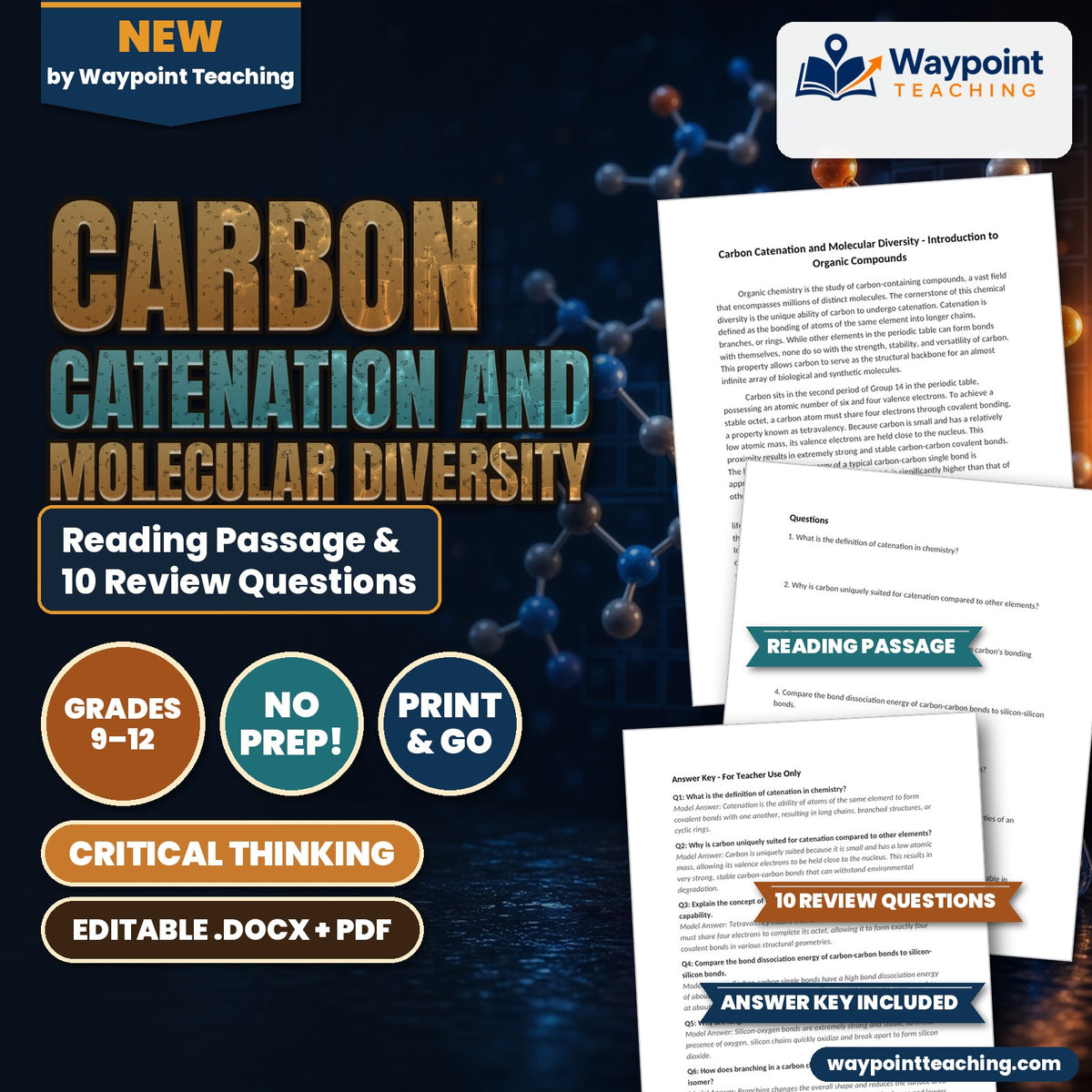Carbon Catenation and Molecular Diversity Reading Worksheet cover