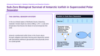 Colligative Properties Phenomena-Based Lesson: Sub-Zero Biological Survival of Antarctic Icefish in Supercooled Polar Seawater Presentation sample page