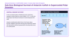 Colligative Properties Scaffolded Phenomena-Based Lesson: Sub-Zero Biological Survival of Antarctic Icefish in Supercooled Polar Seawater Presentation sample page
