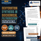 Dehydration Synthesis in Biochemical Polymerization Reading Worksheet cover