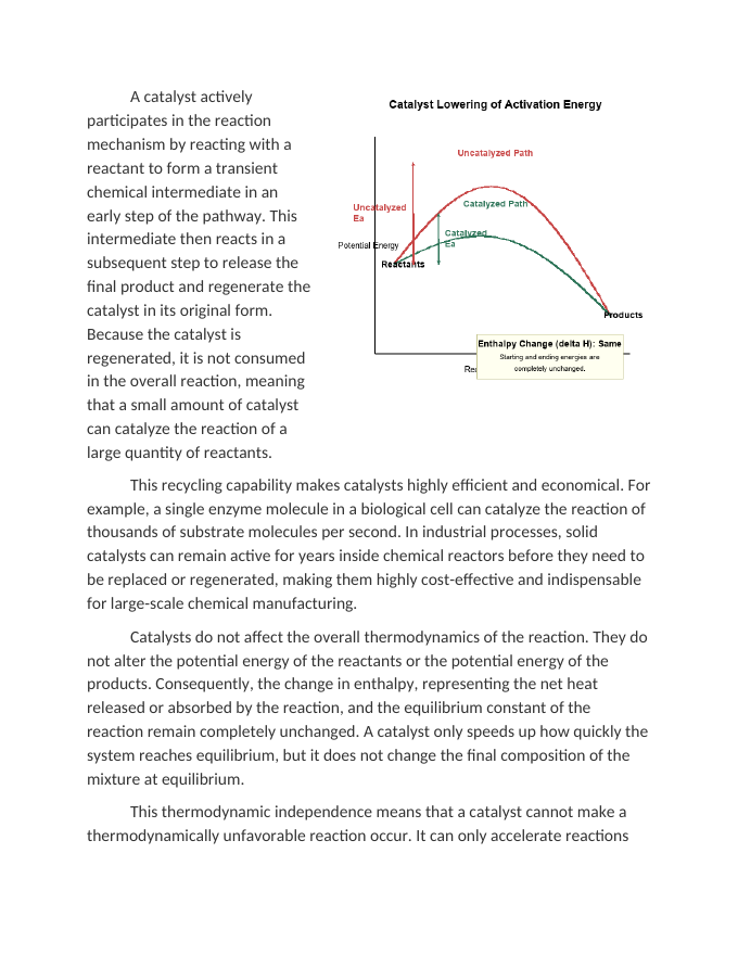 How Catalysts Lower Activation Energy Barriers Reading Worksheet sample page