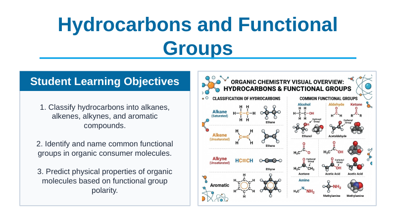 Hydrocarbons & Functional Groups Slide Show Presentation sample page