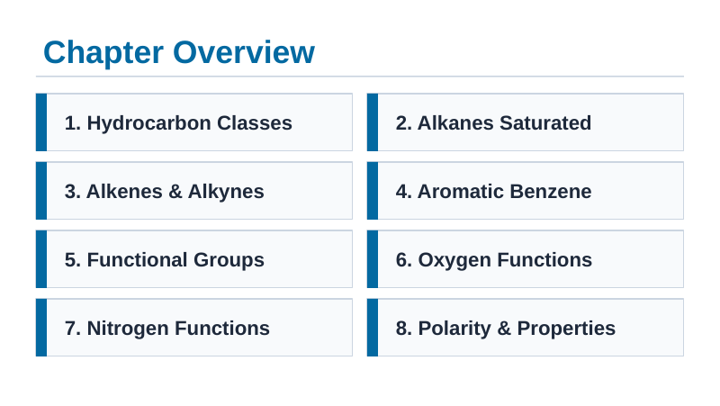 Hydrocarbons & Functional Groups Slide Show Presentation sample page