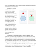 Induced Fit Model of EnzymeSubstrate Complexes Reading Worksheet sample page