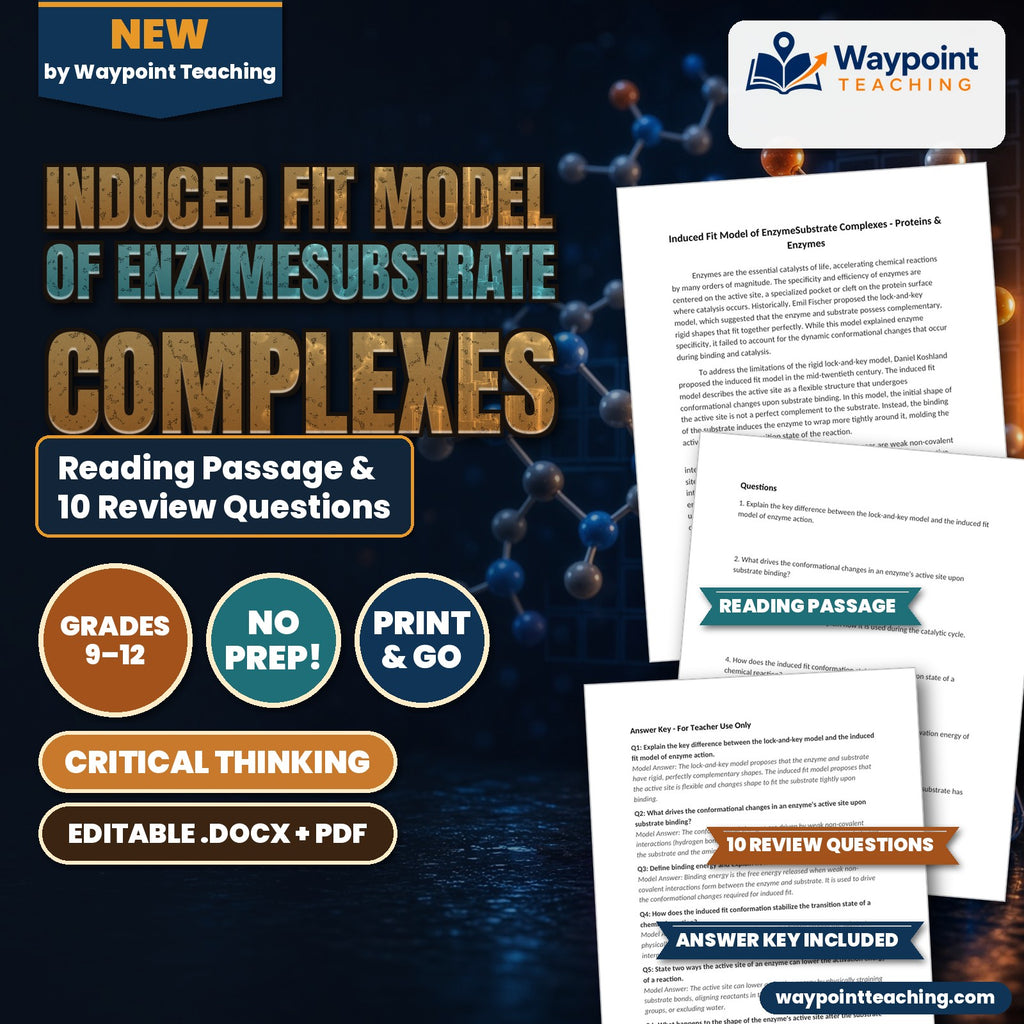 Induced Fit Model of EnzymeSubstrate Complexes Reading Worksheet cover