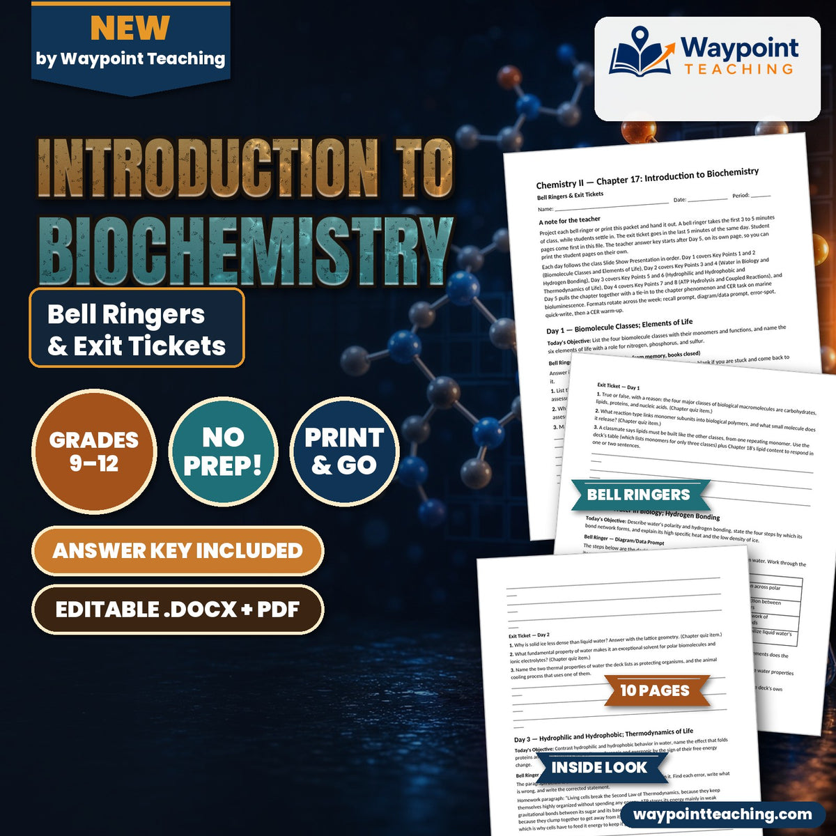 Introduction to Biochemistry Bell Ringers & Exit Tickets cover