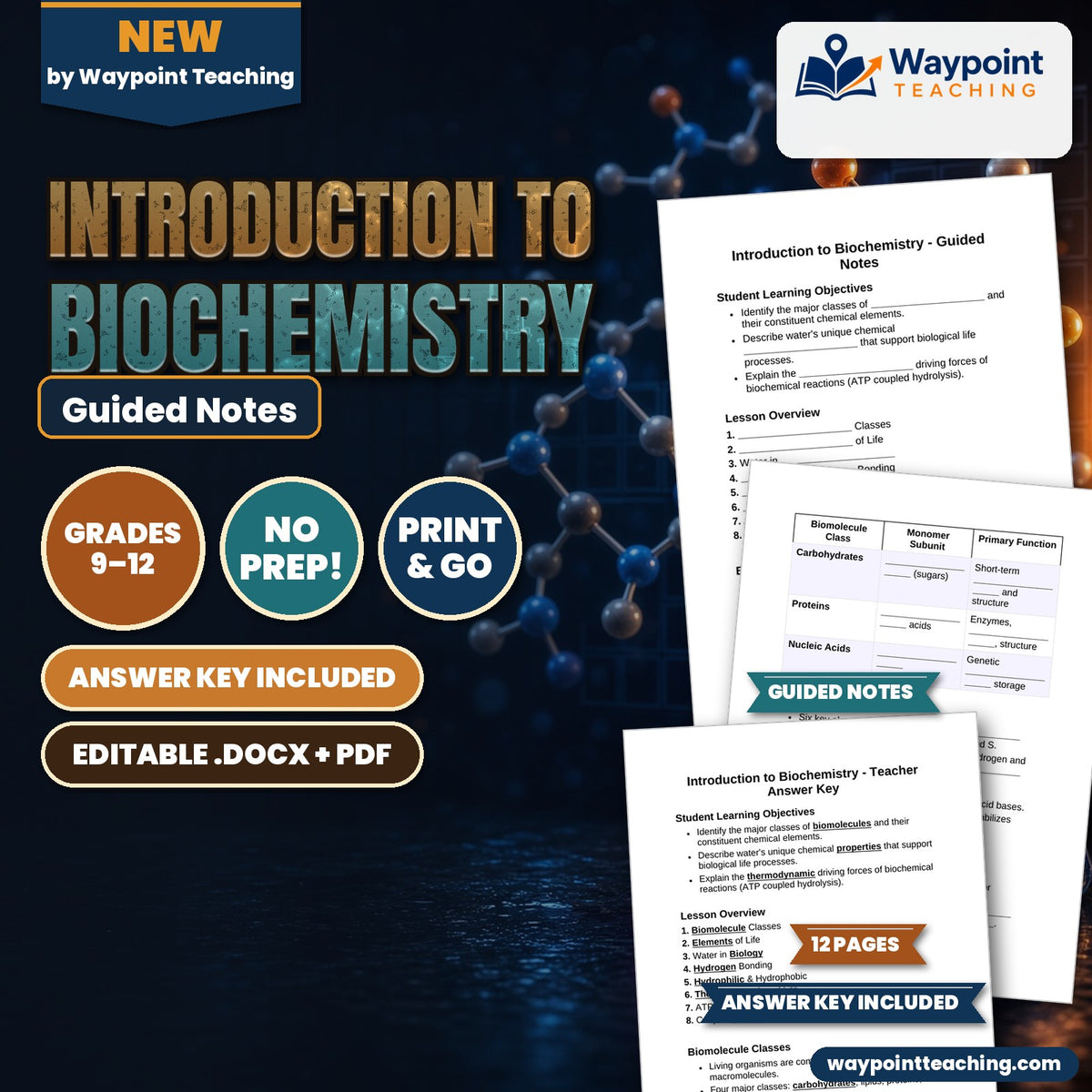 Introduction to Biochemistry Guided Notes cover