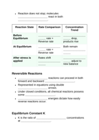 Introduction to Chemical Equilibrium Guided Notes sample page