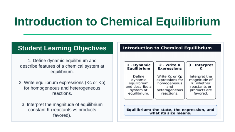 Introduction to Chemical Equilibrium Slide Show Presentation sample page