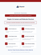 Isomers & Molecular Structure Project-Based Learning Activity sample page