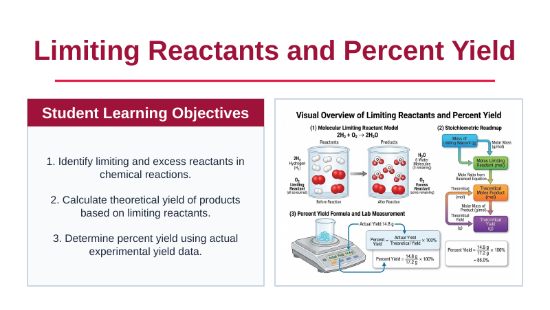 Limiting Reactants & Percent Yield Slide Show Presentation sample page
