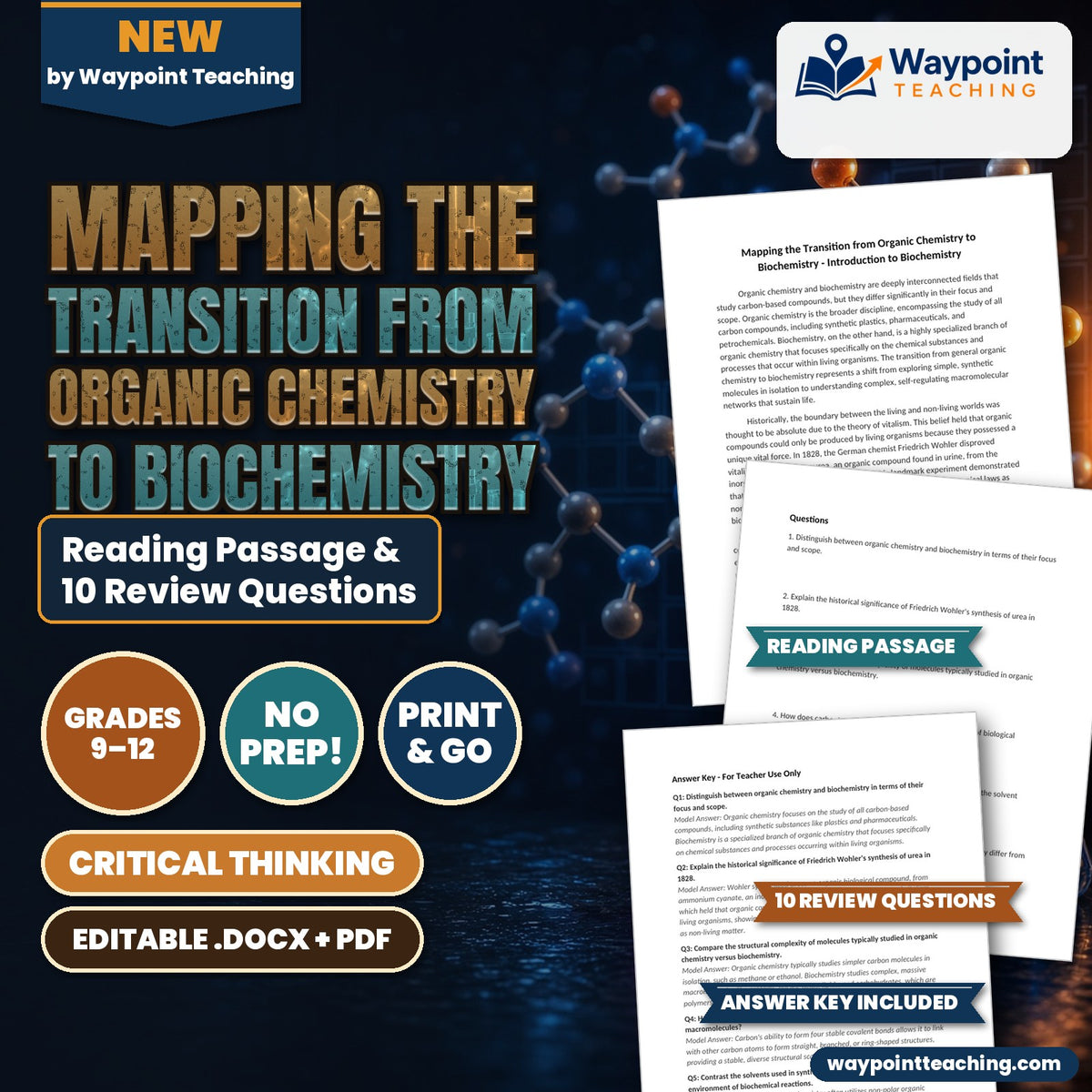 Mapping the Transition from Organic Chemistry to Biochemistry Reading Worksheet cover