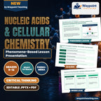 Nucleic Acids & Cellular Chemistry Phenomena-Based Lesson: Hyperthermal Enzyme Resilience of Thermus aquaticus Taq Polymerase in 95-Degree PCR Thermal Cycling Presentation cover